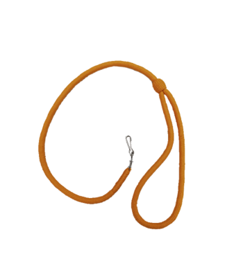 lanyards2_453223406