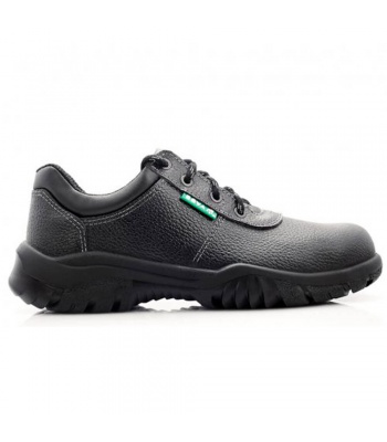 multi_shoe