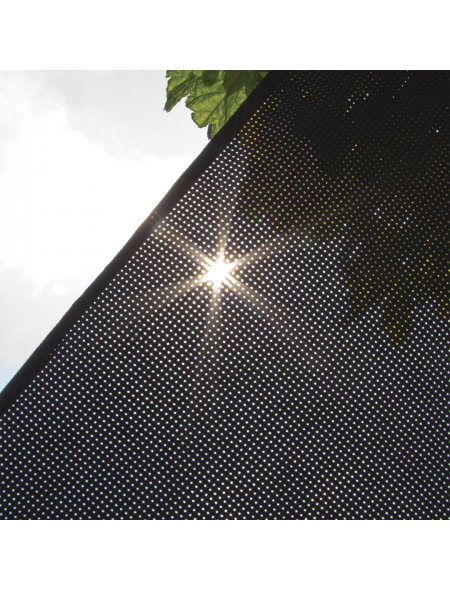 303807-detail1