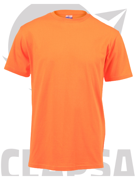 heavyweight_t-shirt10-removebg-preview