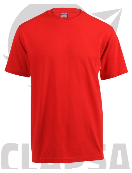 heavyweight_t-shirt12-removebg-preview