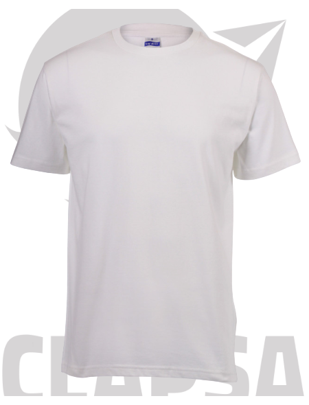 heavyweight_t-shirt16-removebg-preview