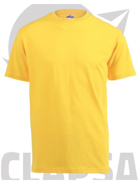 heavyweight_t-shirt17-removebg-preview
