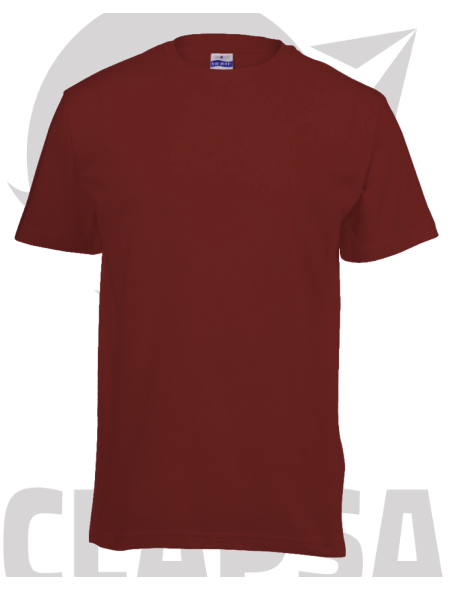 heavyweight_t-shirt7-removebg-preview