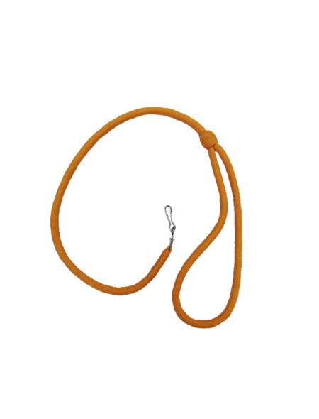 lanyards2_453223406