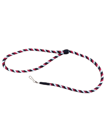 lanyards3_2105518134