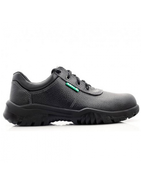 multi_shoe